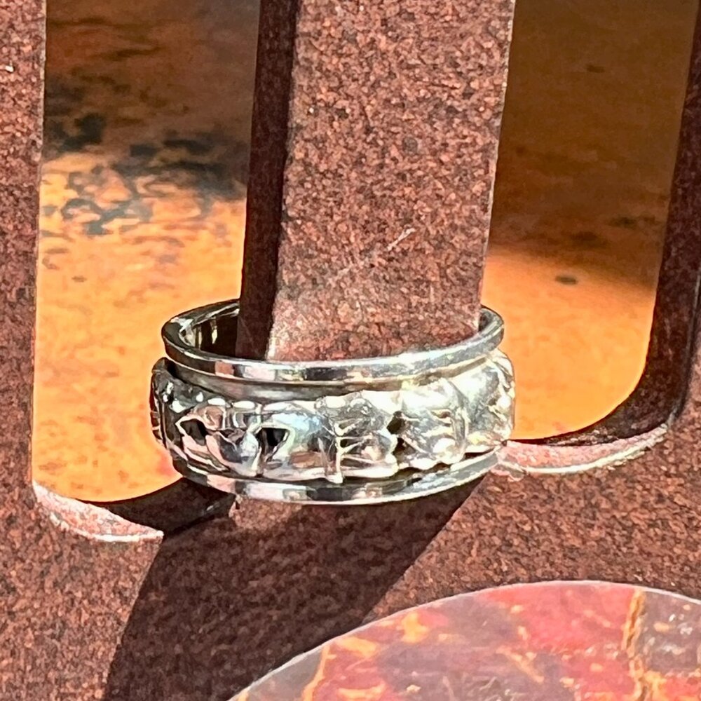 SALE!  Classic Silver Spinner (Meditation) Ring